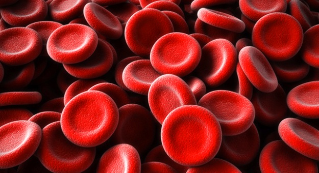 red_blood_cells